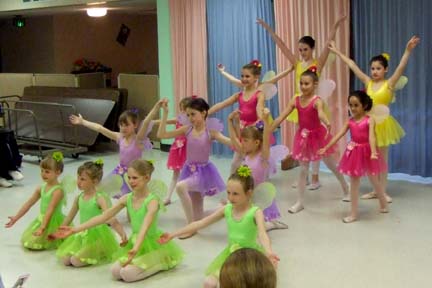 flower fairies
